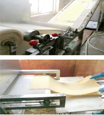 La Chine fabrique une ligne de production de peau de tofu faisant une machine d'équipement