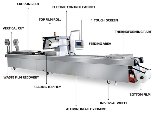 DZDL-420-440 Fully Automatic Stretch Film Vacuum Packaging Machine